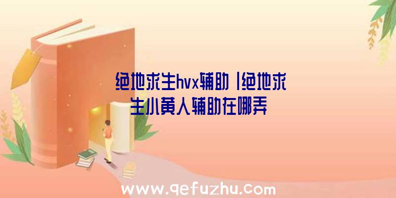 「绝地求生hvx辅助」|绝地求生小黄人辅助在哪弄